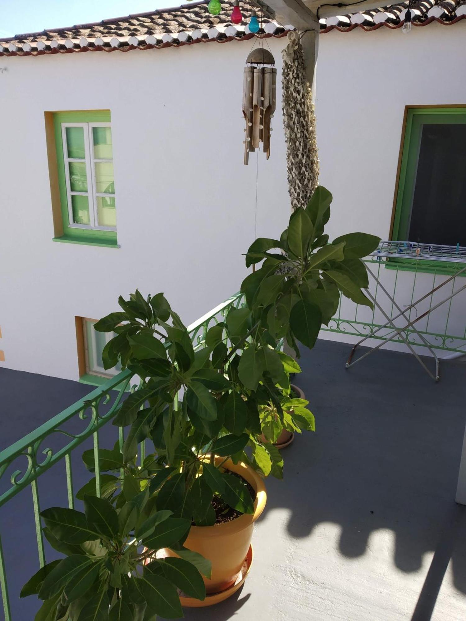 Vaggelis Traditional House Spetses Town Extérieur photo